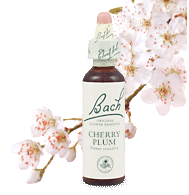 cherry-plum_remedy_chooser.gif cherry-plum_remedy_chooser.gif