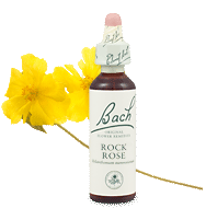 rock-rose_remedy_chooser.gif rock-rose_remedy_chooser.gif